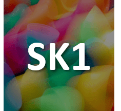 SK1 Curriculum