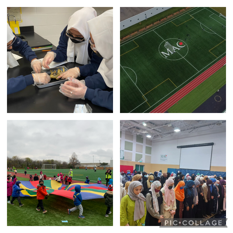 Support Our Vision Olive Grove School